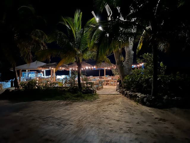 Andros Beach Bar Under the Palms