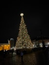 Christmas Tree on Castle Square, Warsaw Old Town